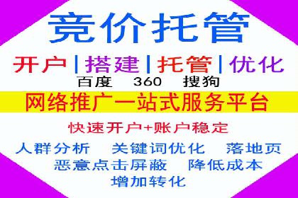 优化搜索流量：SEO技巧的多个成功案例
